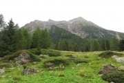 IMG_0025