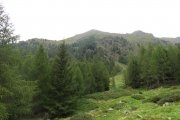 IMG_0027
