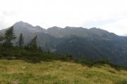 IMG_0029