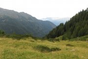IMG_0032