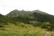 IMG_0034