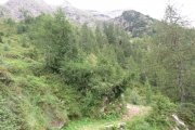 IMG_0037