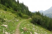 IMG_0040