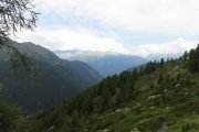 IMG_0062