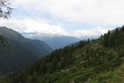 IMG_0066