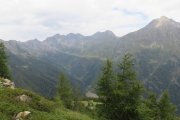 IMG_0103
