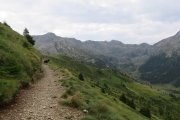 IMG_0107