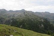 IMG_0123