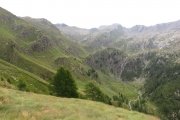 IMG_0139