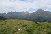 IMG_0156