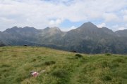 IMG_0159