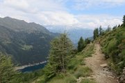 IMG_0163