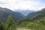 IMG_0179