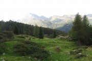 IMG_0187