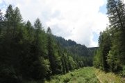 IMG_0190