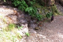 IMG_0002