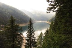 IMG_0008