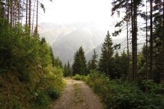 IMG_0014