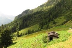 IMG_0019