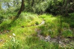 IMG_0041