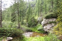 IMG_0046