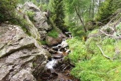 IMG_0049