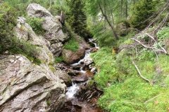 IMG_0052