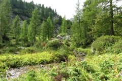 IMG_0060