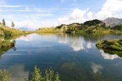 IMG_0080