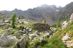 IMG_0091