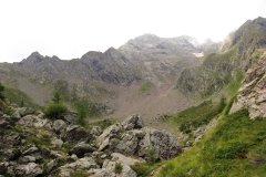 IMG_0100