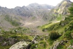 IMG_0101