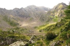 IMG_0104