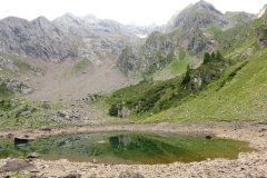 IMG_0126