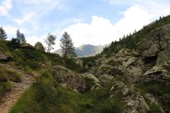 IMG_0130