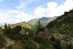 IMG_0132