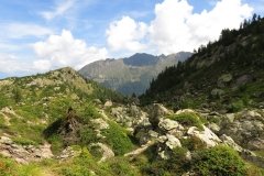 IMG_0134