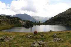 IMG_0166