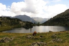 IMG_0167