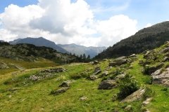 IMG_0171