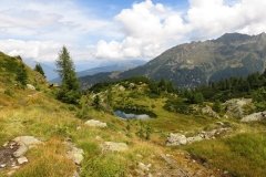 IMG_0174