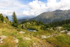 IMG_0176