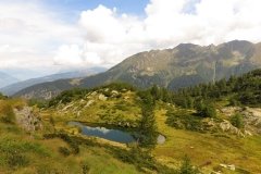 IMG_0181
