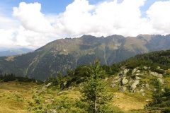 IMG_0185
