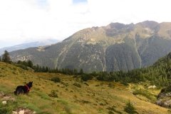 IMG_0194