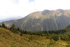 IMG_0199