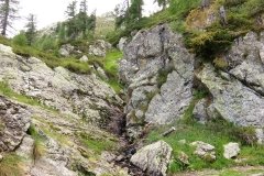 IMG_0202