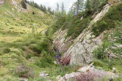 IMG_0207