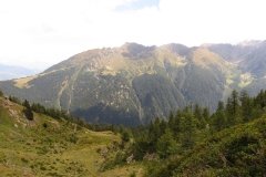 IMG_0208