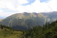 IMG_0211
